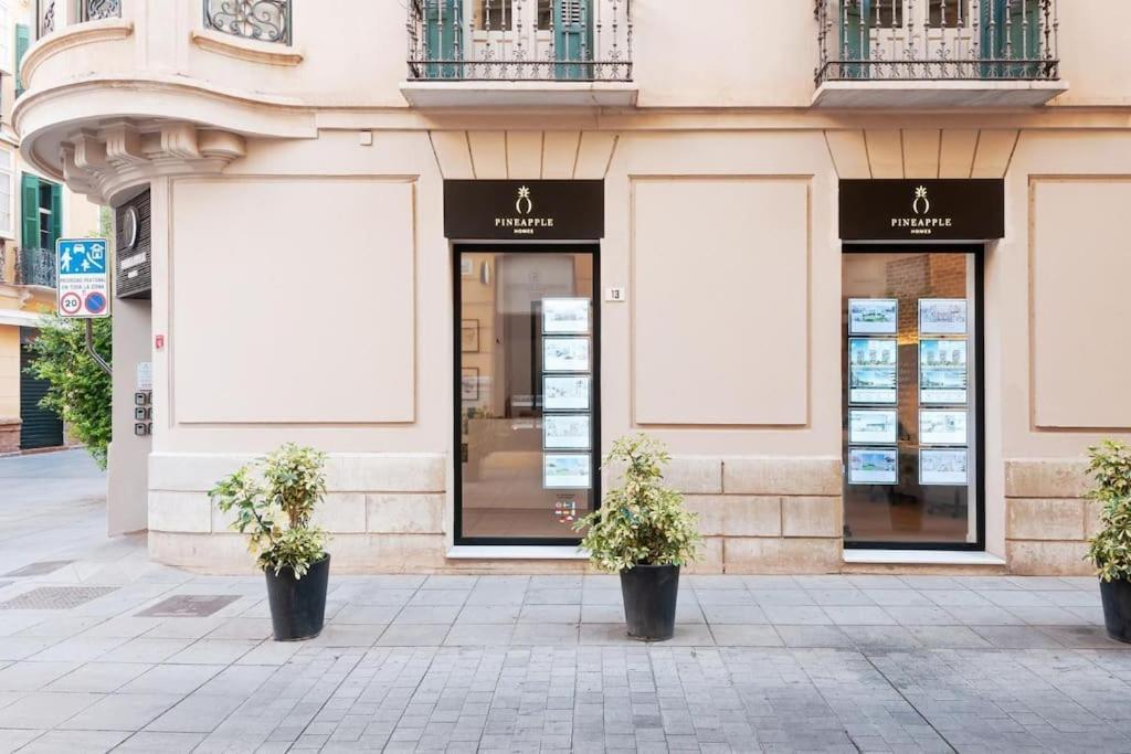 Apartment Pineapple Trinidad 20 Málaga